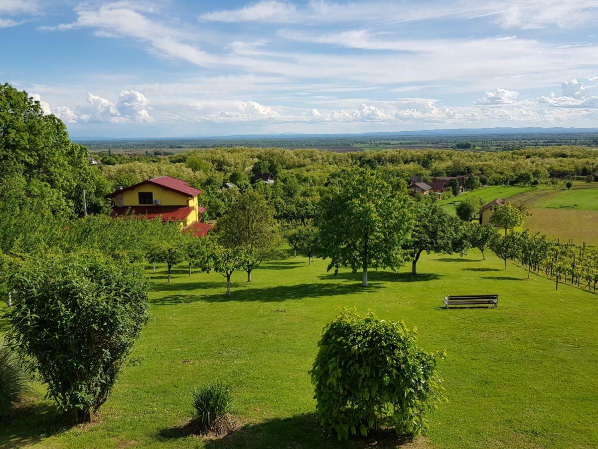 Guest House Blazevic Gornja Gracenica Bagian luar foto